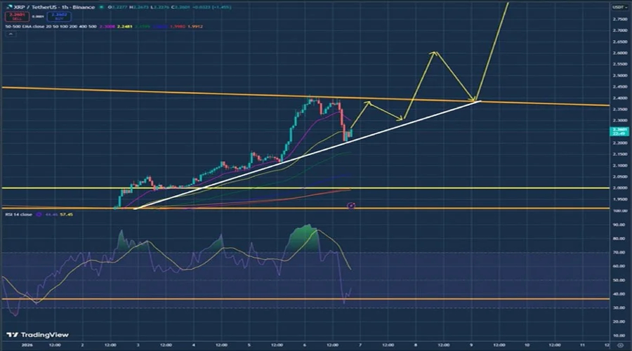 why-xrp-is-outperforming-bitcoin-and-ethereum-in-2026