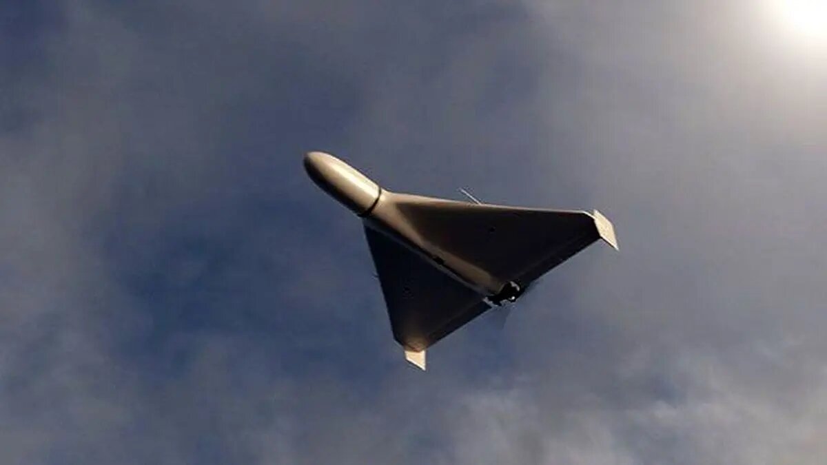 شاهد
