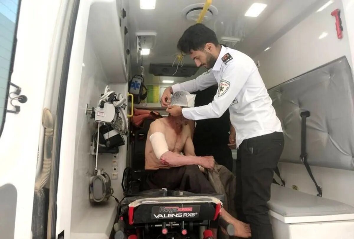درگیری با خرس