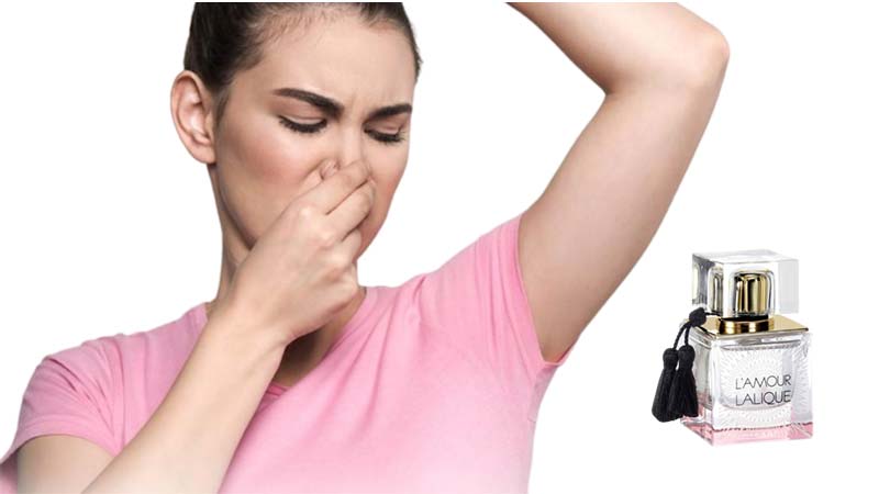استفاده از دانهیل قهوه ای برای رفع بوی بد عرق زیر بغل