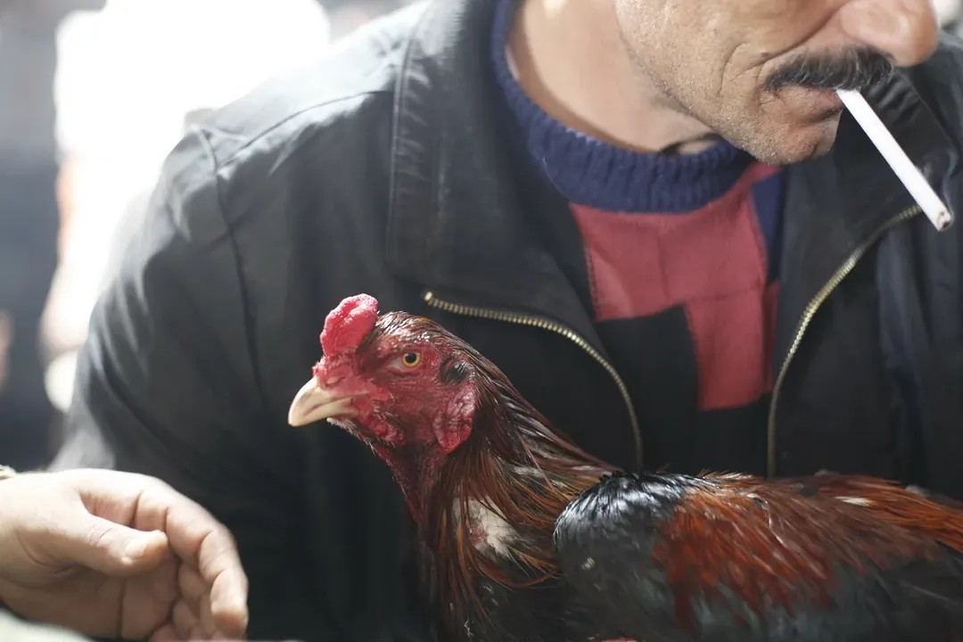 05