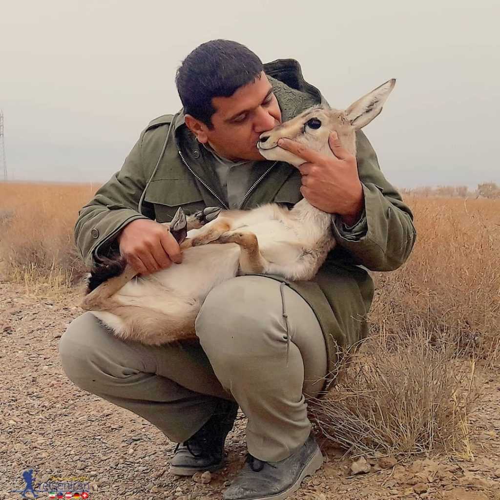 محیط بان (1)