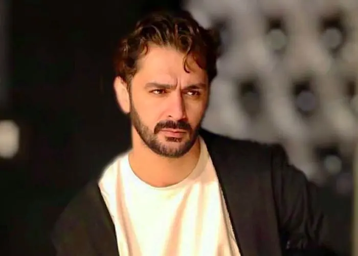 مهدی رکنی
