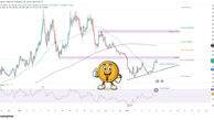 رشد انفجاری زیکش؛ آیا بازگشت پرقدرت ارز پرسود تکرار می‌شود؟