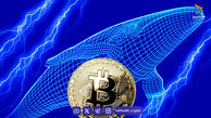 نهنگ معروف بیت‌کوین روی رشد قیمت بیت‌کوین، اتریوم و سولانا شرط‌بندی می‌کند