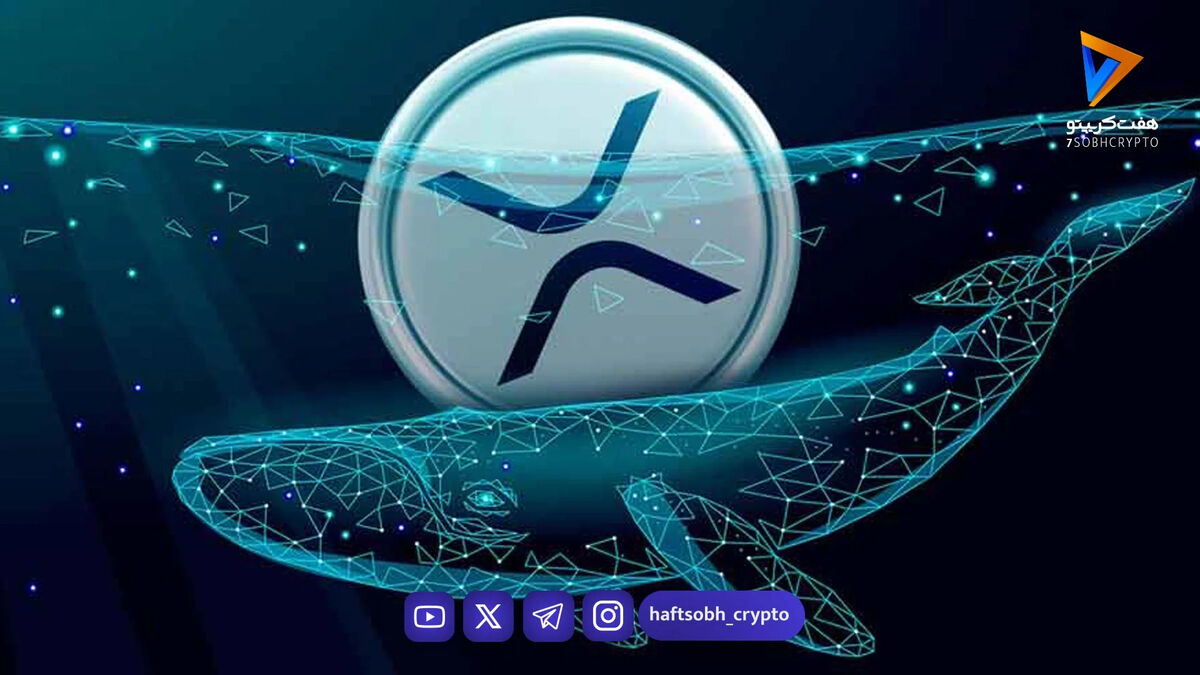 هجوم نهنگ‌ها و انباشت ۱۷۰ میلیون ریپل در کف قیمت؛ روند نزولی XRP متوقف می‌شود؟