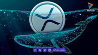 ریپل حمایت ۱.۳۰ دلاری را حفظ کرد؛ کاهش ذخایر صرافی‌ها و احتمال صعود XRP