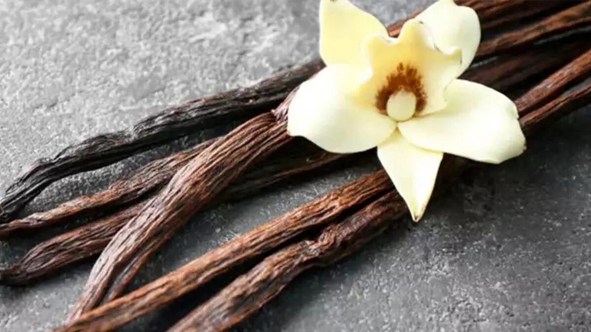 جامع ترین خواص وانیل برای پوست صورت (ماسک ضدپیری+طرز تهیه)