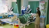 مرگ سه ایرانی بر اثر گزش پشه آئدس