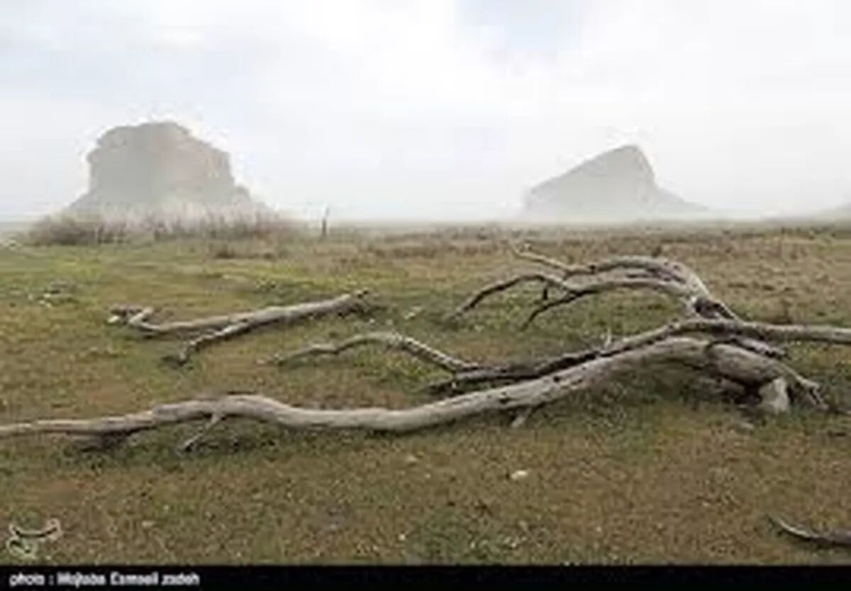 افشاگری درباره برکنار دسته‌جمعی مدیران محیط زیست دولت سیزدهم