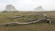 افشاگری درباره برکنار دسته‌جمعی مدیران محیط زیست دولت سیزدهم