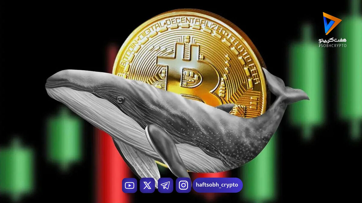 بیدار شدن نهنگ‌های قدیمی بیت کوین و جابجایی ۷۹۳ واحد btc