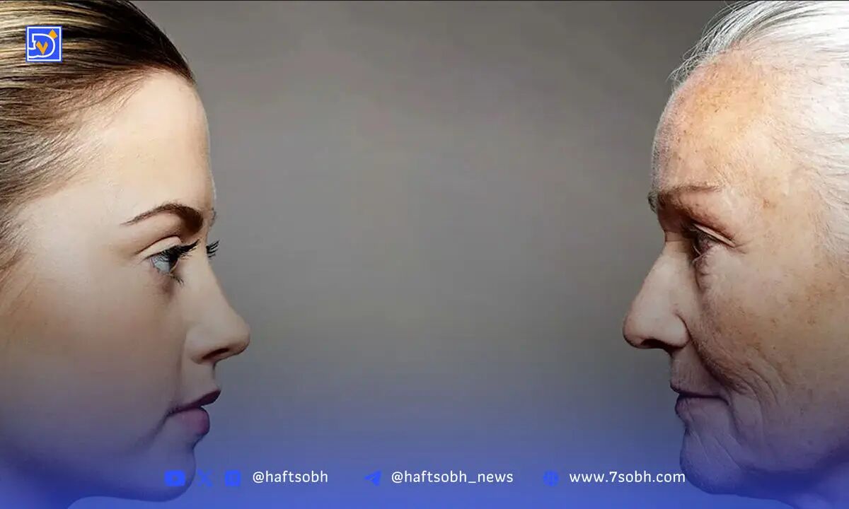 یادداشت آنالی اکبری| فردا در جهان مردگان