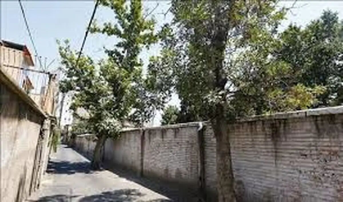 تحول در ده ونک؛ نوسازی ۱۲۰۰ پلاک فرسوده کلید می‌خورد
