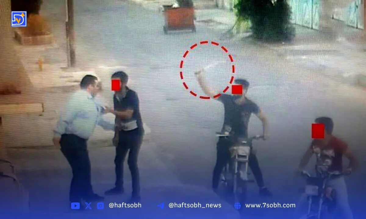 فقط می‌خواهيم قدم بزنيم | سرقت وحشتناک گردنبند زن جلوی در خانه‌اش