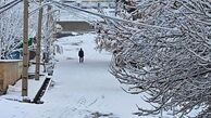 تعطیلی های فردا 7 اسفند 1403