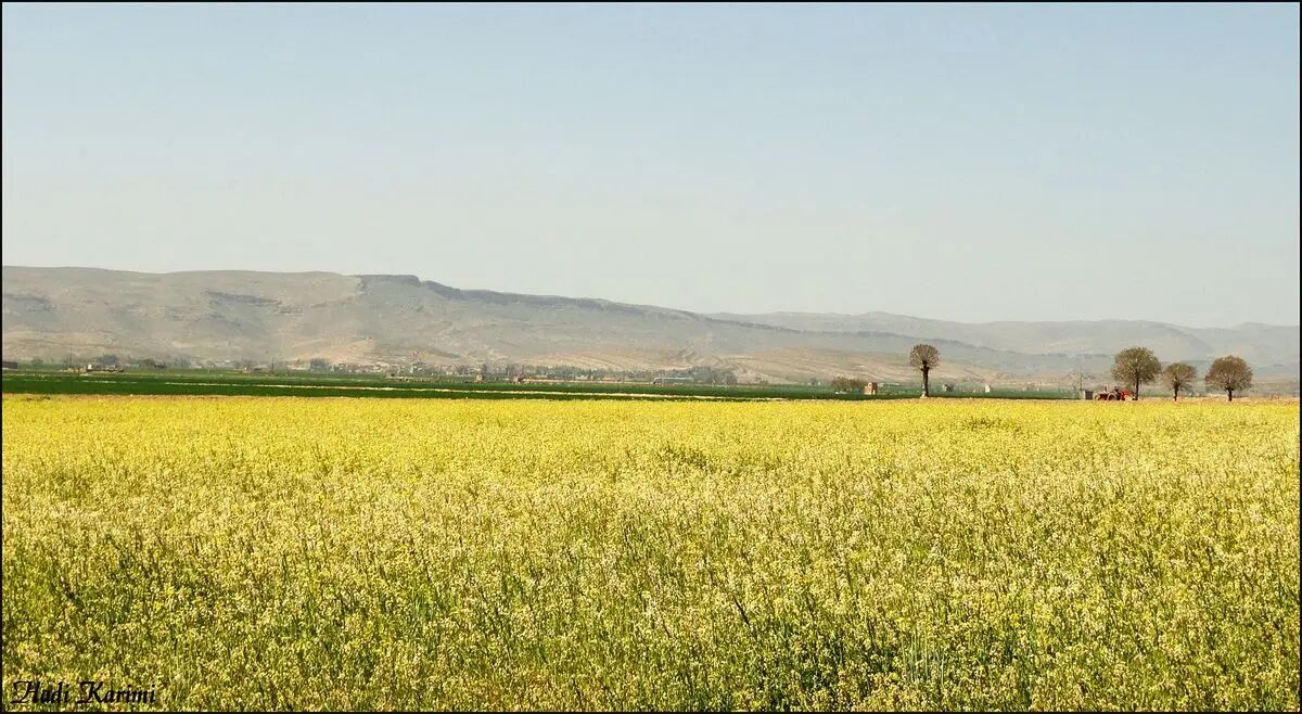 زلزله ۴.۴ ریشتری در داریان شیراز
