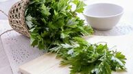 گیاه شگفت‌ انگیز موثر در پیشگیری از سرطان روده بزرگ