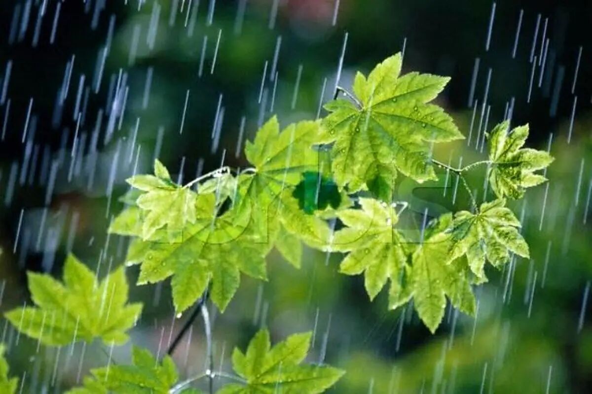 برف و سرما در راه شمال کشور