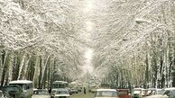 تهران قدیم؛ خیابان ولیعصر چه شکلی بود؟