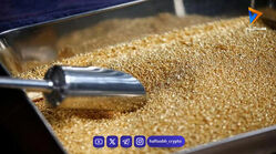 قیمت طلا و سکه امروز چهارشنبه ۲۳ اردیبهشت ۱۴۰۵ + جدول