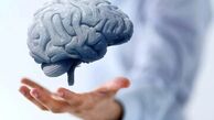آیا مغز شما به توجه نیاز دارد؟