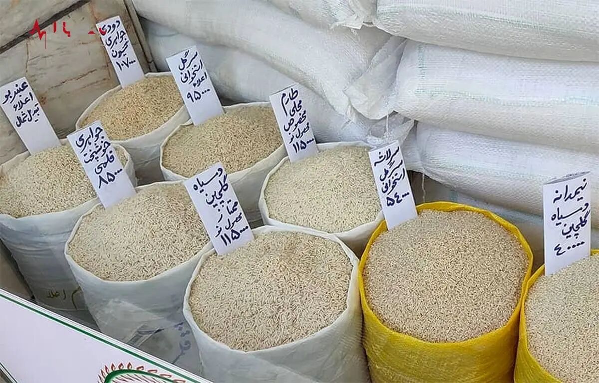 مقصر برنج ۲۵۰ هزار تومانی پیدا شد