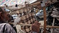 کشف و ضبط پرندگان و جانوران وحشی در بازار خلیج فارس