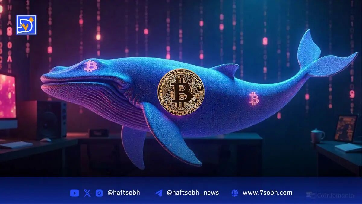 خرید ۳۰۰ میلیون دلاری بیت‌کوین توسط نهنگ ناشناس؛ آیا جیمز وین پشت پرده است؟