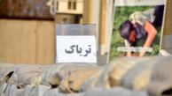 کشف ۱۱ کیلو تریاک آماده توزیع از یک قاچاقچی در جنوب تهران