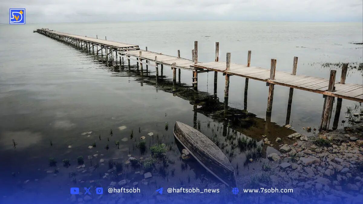 مرگ تدریجی یک مادر | چهره زخمی میانکاله