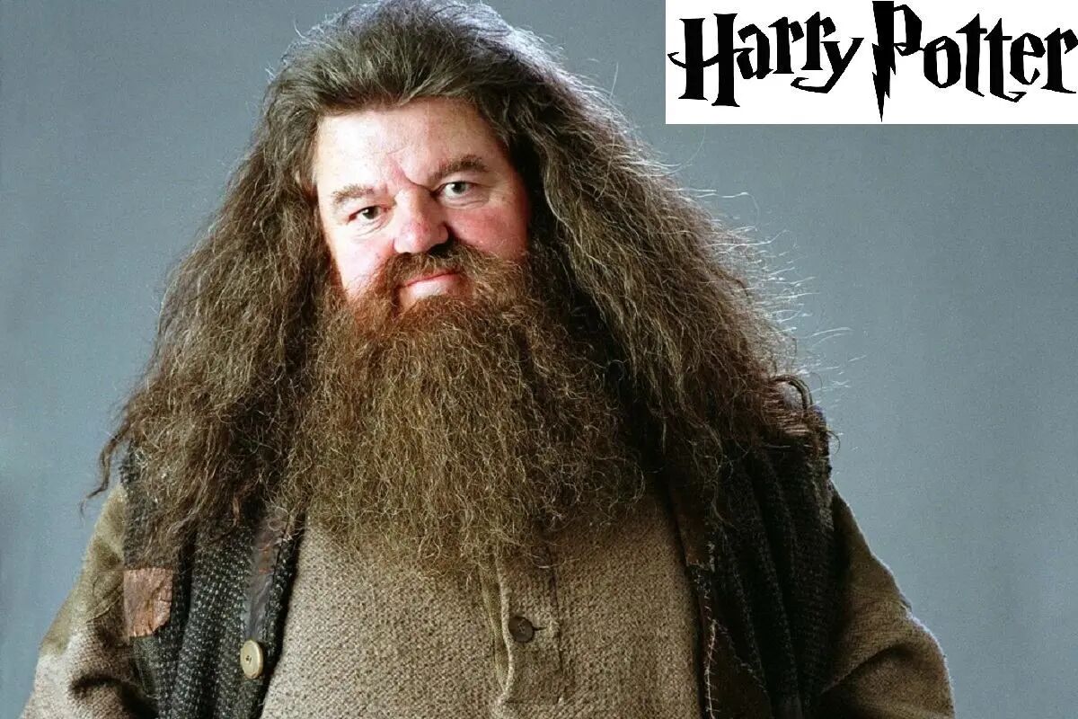 اولین تصویر نیک فراست در نقش هاگرید سریال Harry Potter منتشر شد
