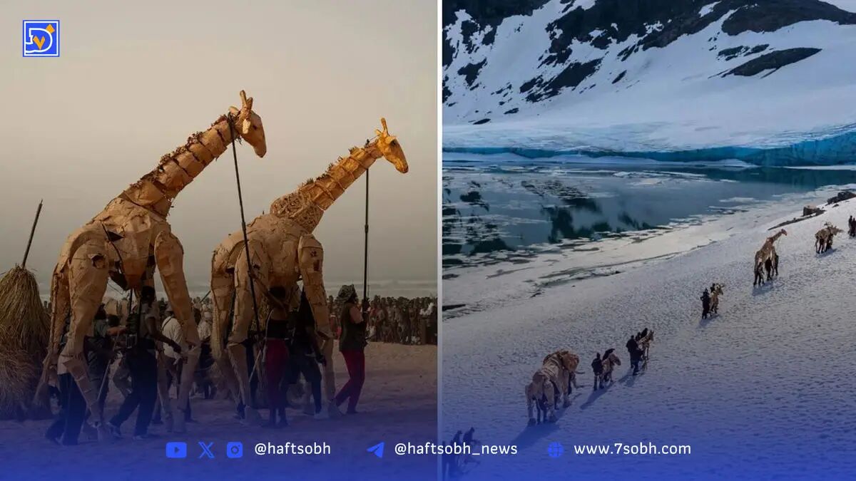 20 هزار کیلومتر دور دنیا| پیاده‌روی  فیل‌ها، زرافه‌ها، آنتلوپ‌ها و شیرها