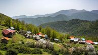 بی آبی دامن رشت را هم گرفت