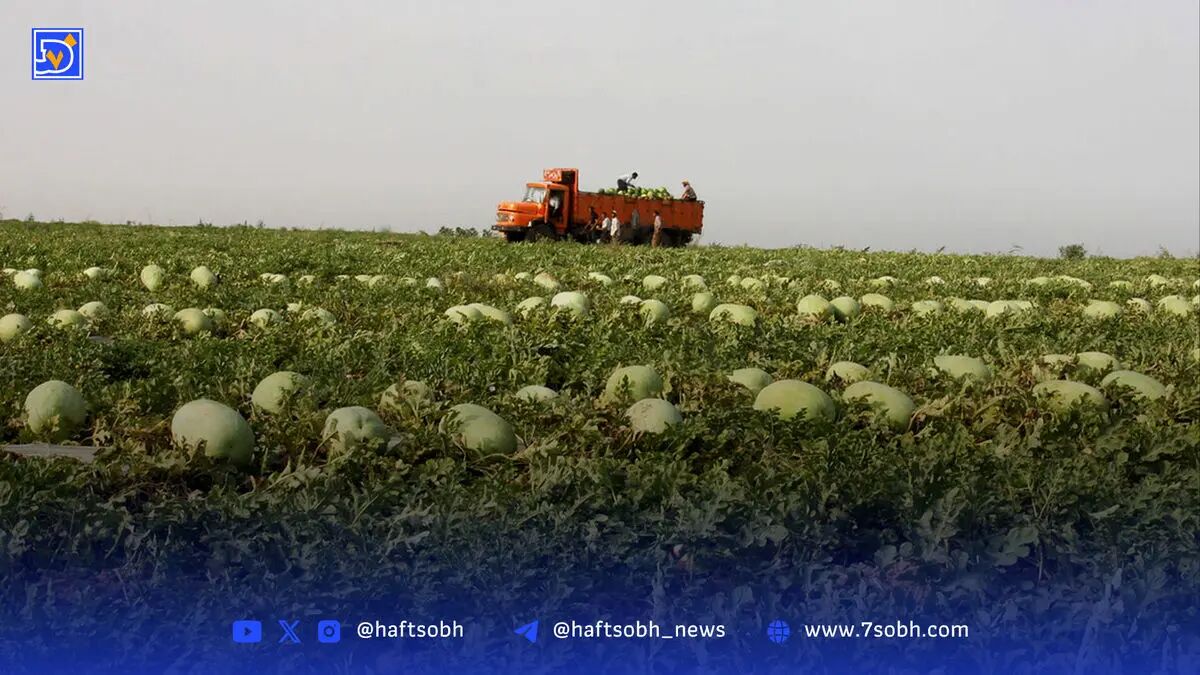 بن‌بست اشتغال؛ بیماری خاموش اقتصاد ایران