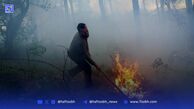 آتش سوزی ۲ هکتار از جنگل‌های کشل ورزل رشت مهار شد