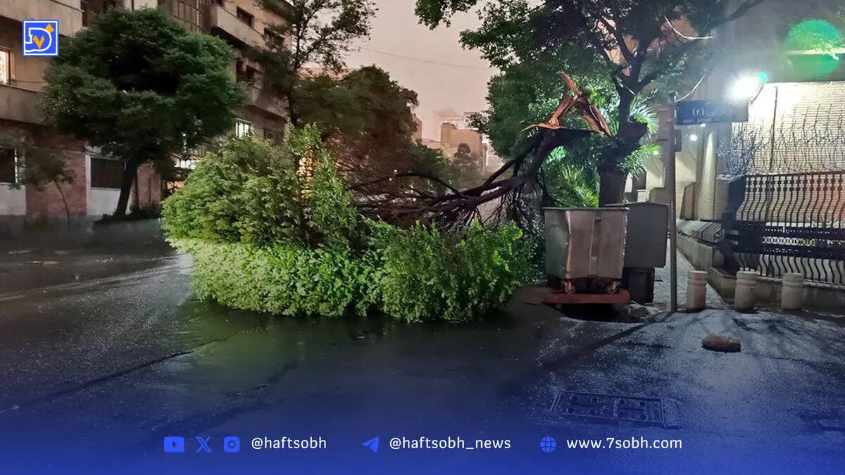 تداوم وزش باد در تهران؛ گردوخاک و غلظت آلاینده‌ها افزایش می‌یابد