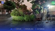 تداوم وزش باد در تهران؛ گردوخاک و غلظت آلاینده‌ها افزایش می‌یابد