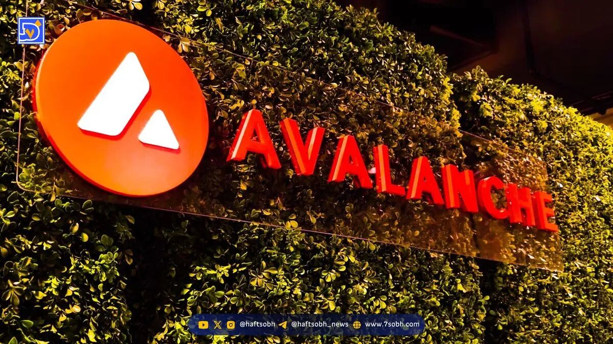 رشد ۶۶٪ تراکنش‌های Avalanche با افزایش معاملات غیرمتمرکز