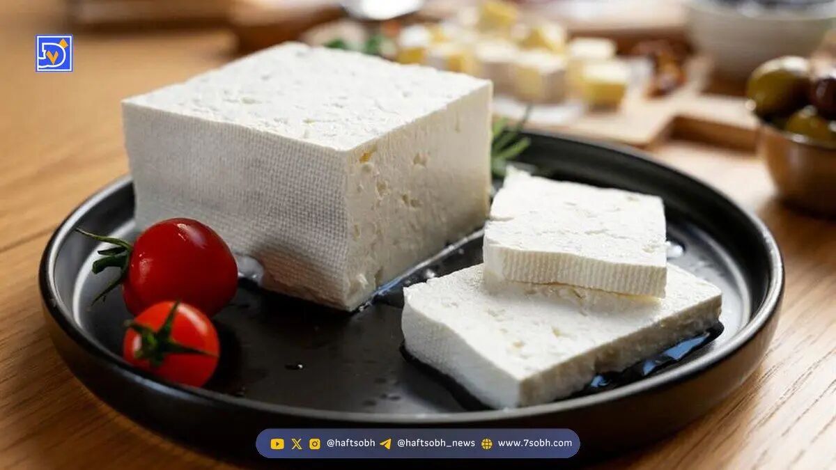 راز کاغذ روی پنیرهای ظرفی