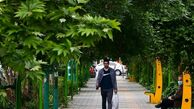 هوای تهران خنک می‌شود + گزارش هواشناسی