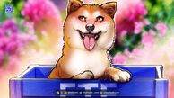 رونمایی اولین ETF میم‌کوین آمریکا با صندوق دوج کوین (Doge)