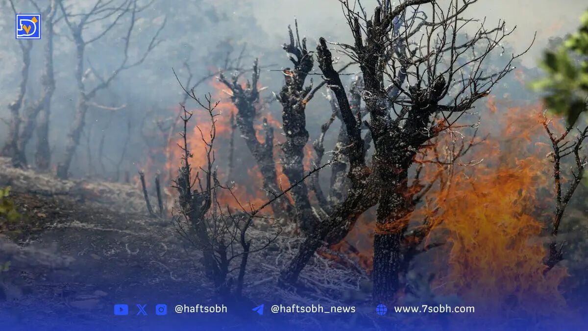 حذف 10 هزار تن گاز مخرب لایه ازن توسط ایران