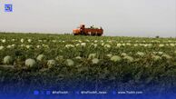 حل یک سوتفاهم تاریخی میان شهرداری تهران و سازمان آبفا