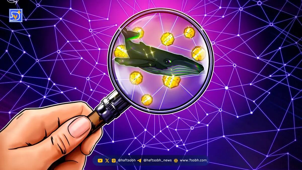 دیفای | رشد MYX Finance و زیان‌های بزرگ در Hyperliquid؛ تحلیل هفتگی دیفای