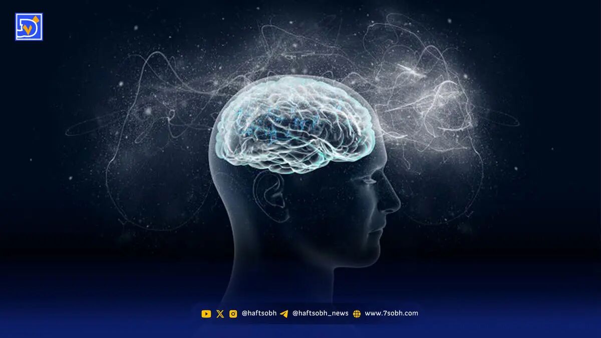 ۱۰ کشور با پایین‌ترین میانگین IQ در جهان ۲۰۲۵