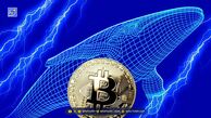 تحلیل بیت کوین (16 مهر): سود هنگفت نهنگ‌های کوتاه‌مدت؛ قیمت BTC به کدام سمت می رود؟