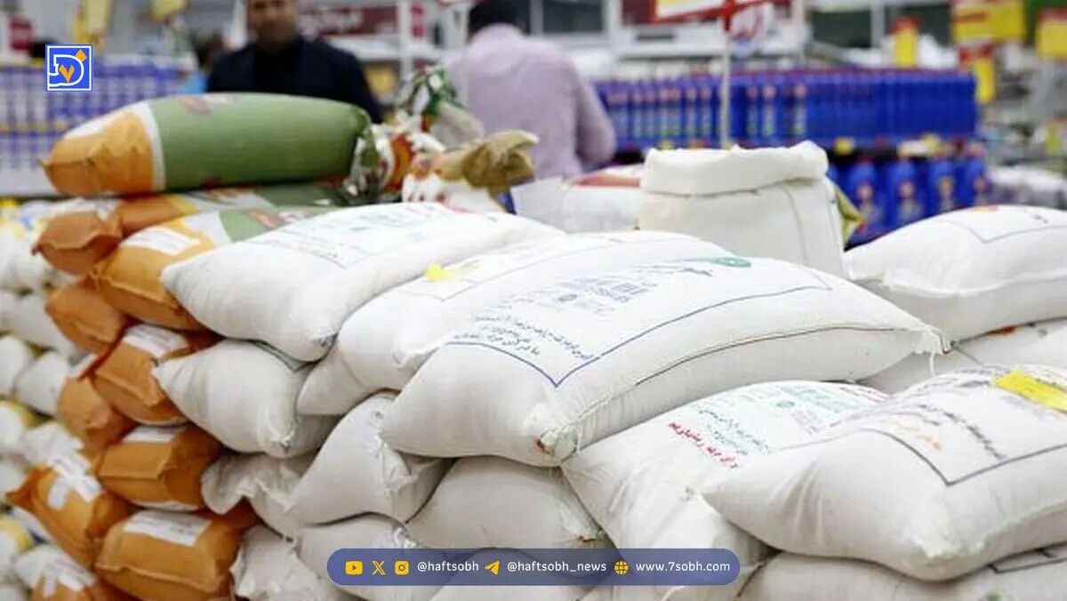 نان یار سلامتی است یا زمینه‌ساز بیماری؟