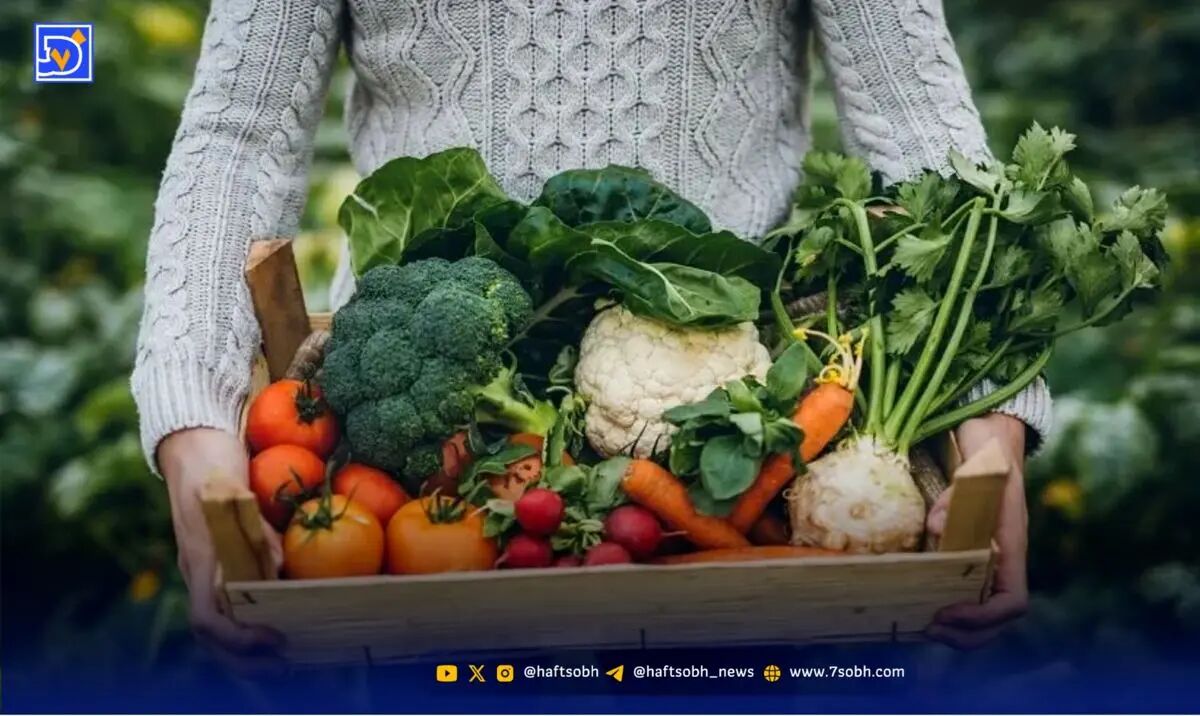 اگر عمر طولانی می خواهید این خوراکی‌ها را مصرف کنید