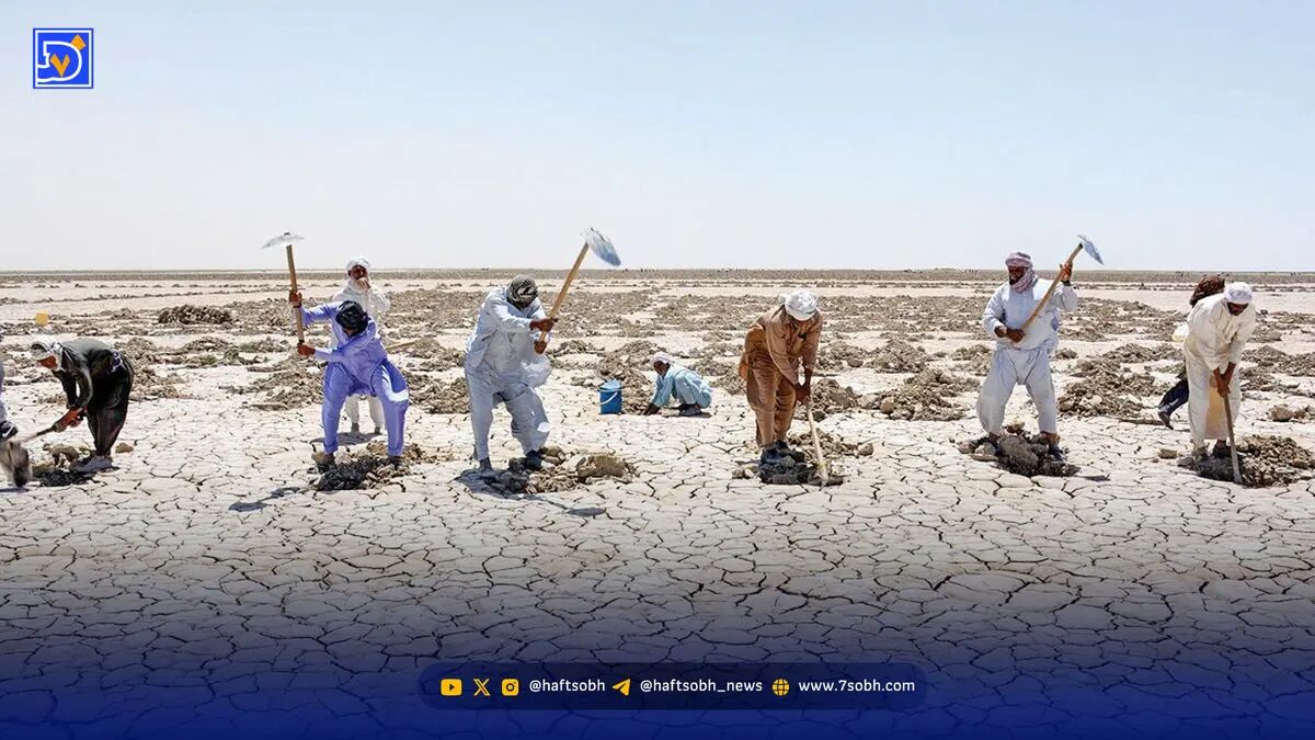 هامون تشنه‌تر از همیشه